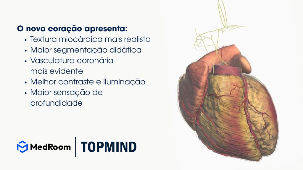Modelo anatômico 3D do coração humano utilizado em plataformas de educação médica para ensino de anatomia, simulação clínica e visualização científica. Modelo anatômico do coração humano com destaque para vasculatura coronária usado em plataformas de ensino médico e tecnologia educacional em saúde.